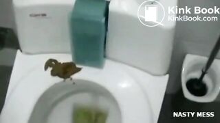 The brown side of life 1142