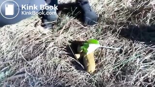 Huge load in the forest