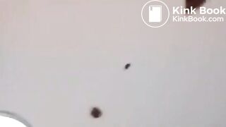 The brown side of life 1170