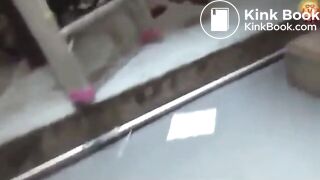 The brown side of life 1185