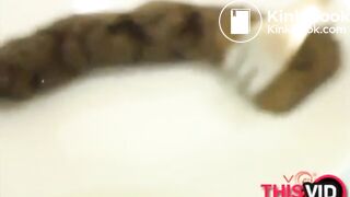 The brown side of life 1228