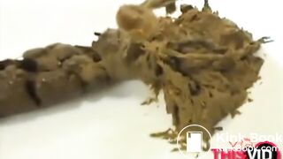 The brown side of life 1228