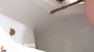 The brown side of life 1212