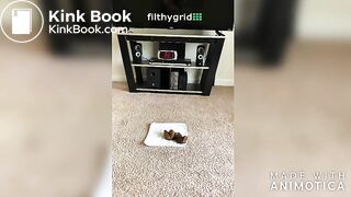 Starburst`s Big Dookies And Mud Pile - Voodoovixen