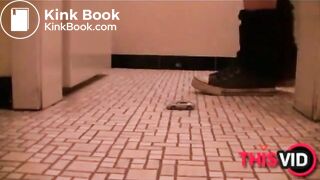 The brown side of life 1249