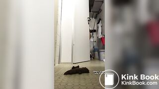 The brown side of life 1244