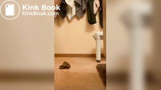 Shitting thicc Slut Judy 2