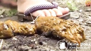 The brown side of life 1183