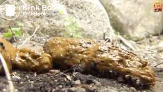 The brown side of life 1183