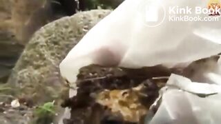 The brown side of life 1183