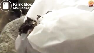 The brown side of life 1183