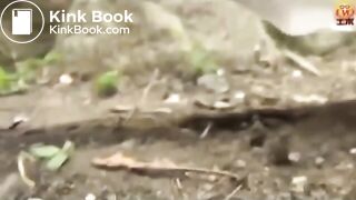 The brown side of life 1183