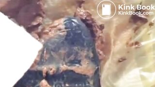 The brown side of life 1252