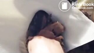 The brown side of life 1252