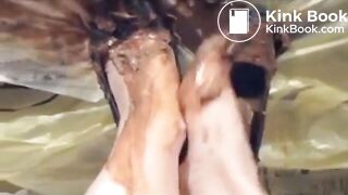 The brown side of life 1252