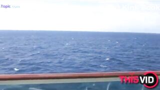 The brown side of life 1233