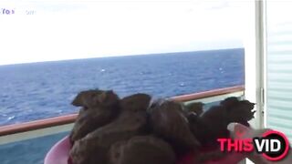 The brown side of life 1233