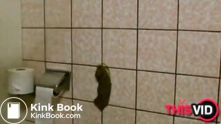 The brown side of life 1226