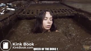 Up to 40 % cowshit porn sale