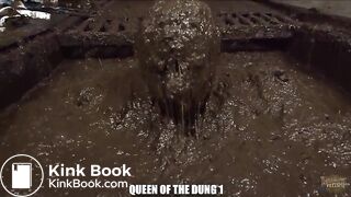 Up to 40 % cowshit porn sale