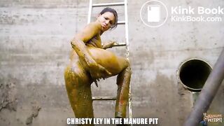 Up to 40 % cowshit porn sale