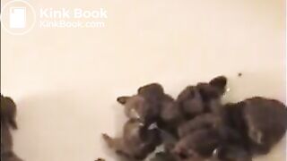 Woman shit big turd on a white plate