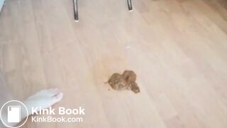 The brown side of life 1254