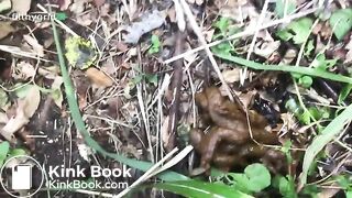 Big Booty Panties 24