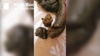 The brown side of life 1247