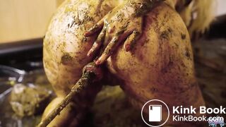 Lyndra Lynn Messy girl next door - lots of cowshit and piss