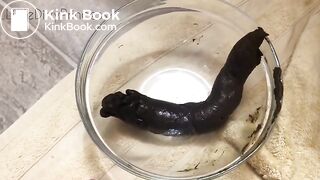 6xyq2f0r01jpew6 Video1080p