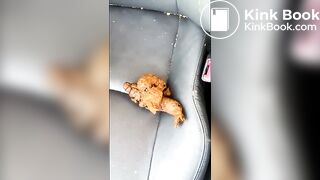 shit in car