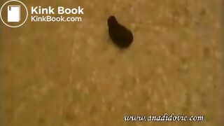 AnaDidovic064