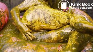 Lyndra Lynns Manure Pool swimming in cowshit