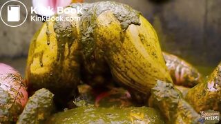 Lyndra Lynns Manure Pool swimming in cowshit