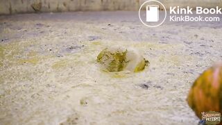 Lyndra Lynns Manure Pool swimming in cowshit