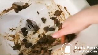 The brown side of life 1269