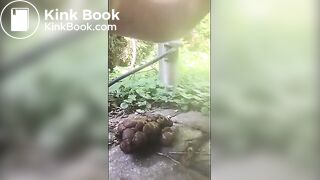 Hard rock turd