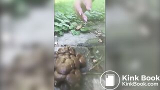 Hard rock turd