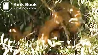 Joyangeles+ana+didovic+wood+pooping