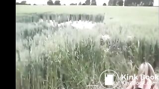 herbe sèche