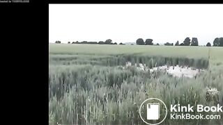 herbe sèche
