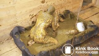 Lyndra and Franky Manure Barn - sensual fuck in cowshit