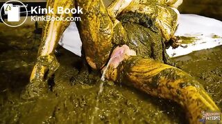 Gossip Girl Lyndra Lynn - Fucked in cowshit