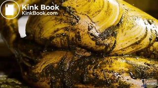 Gossip Girl Lyndra Lynn - Fucked in cowshit