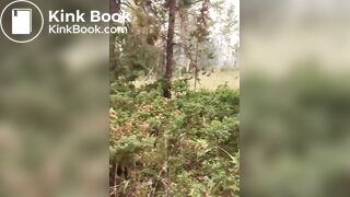 en forêt