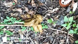 nature accuellante