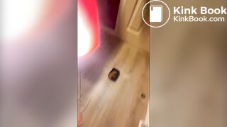 barquette et toilettes