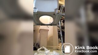Potty Seat Shit 15