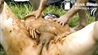 Scat Smeared Amateur BBW - I think this defines my PERFECT woman